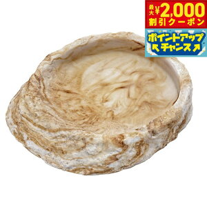 y2000~OFFN[|IGg[Ń|Cg+20{I{IzXh[ veB{E2 MF