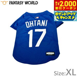 y2000~OFFN[|IGg[Ń|Cg+20{I{IzMLBF T[X hW[X JĕI胂f W[W XL u[yz  m hbOEFA jtH[