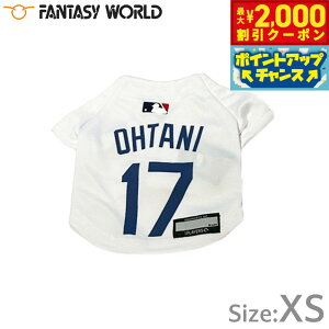 y2000~OFFN[|IGg[Ń|Cg+20{I{IzMLBF T[X hW[X JĕI胂f W[W XS zCgyz  m hbOEFA jtH[