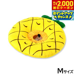 y2000~OFFN[|IGg[Ń|Cg+20{I{IzSolgra pC y[uJ[NbV M CG[ GUxXJ[  L \tg _炩