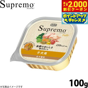 y2000~OFFN[|IGg[Ń|Cg+20{I}\Izj[g Vv J[PA qp 100g NUTOR hbOt[h EFbg Y  pi ybgpi ͂ v