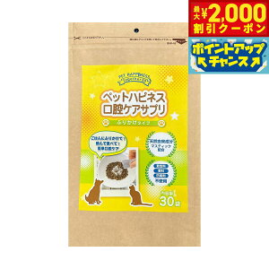 y2000~OFFN[|IGg[Ń|Cg+20{I}\IzybgnslX oPATviӂ肩^CvjTvg/}EXPA/pi/Lpi/ybgpi