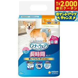 y2000~OFFN[|IGg[Ń|Cg+20{I{Izj`[ }i[EFA ԃIc ̎q j̎qp ^p