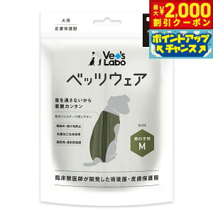 y2000~OFFN[|IGg[Ń|Cg+20{I{Izxbc{ xbcEFA p㕞 j̎qp M J[L