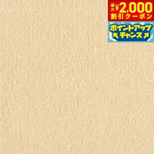 y2000~OFFN[|IGg[Ń|Cg+20{I{IzbN EBYybgtA WPF02 N[ 1