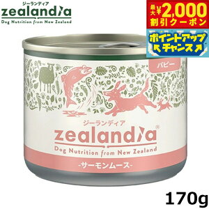 y2000~OFFN[|IGg[Ń|Cg+20{I{IzW[fBA hbOt[h ps[ T[[X qp 170g Y sgp OCt[ EFbg ʋl