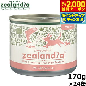 y2000~OFFN[|IGg[Ń|Cg+20{I}\IzW[fBA hbOt[h ps[ T[[X qp 170g×24 Y sgp OCt[ EFbg ʋl