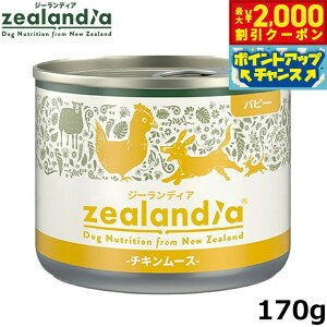 y2000~OFFN[|IGg[Ń|Cg+20{I{IzW[fBA hbOt[h ps[ `L[X qp 170g Y sgp OCt[ EFbg ʋl