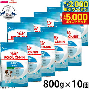 yő2000~OFFN[||Cg+5{zCJi  hbOt[h TCYwXj[gV ~j ps[ 800g×10 Ki ^pt[h qp