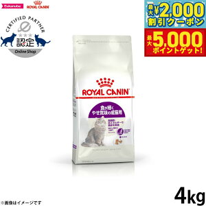 yő2000~OFFN[||Cg+5{zCJi L Lbgt[h tB[CwXj[gV ZVu 4kg Ki HׂLpt[h Lp