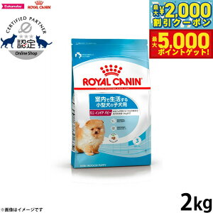 yő2000~OFFN[||Cg+5{zCJi  hbOt[h ~j ChA ps[ 2kg Ki Ő鏬^p qp