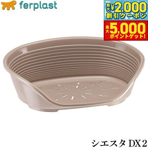 yX|Cgő46{I1118Izt@[vXg xbh VGX^ DX 2 h[uO[ xbh ^ I[V[Y