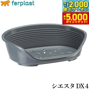 yX|Cgő46{I1118Izt@[vXg xbh VGX^ DX 4 _[NO[ xbh ^ I[V[Y