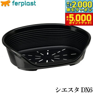 yX|Cgő46{I1118Izt@[vXg xbh VGX^ DX 6 ubNyz xbh ^ I[V[Y