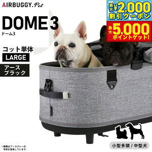 yő2000~OFFN[||Cg+5{zGAoM[ tH[ ybg h[3 RbgP [W A[XubNyzAIRBUGGY ybgJ[g  L AD2501