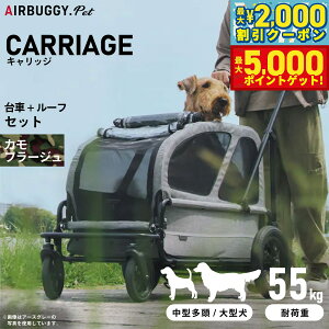 yő2000~OFFN[||Cg+5{zGAoM[ tH[ hbO LbWiCARRIAGEj Zbgiԁ{[tj Jt[W ybgJ[g AIRBUGGY AD3054