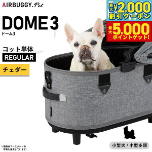 yő2000~OFFN[||Cg+5{zGAoM[ h[3 Rbg P M[ `F_[yzAIRBUGGY ybgJ[g  L AD3104