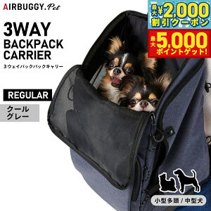 yő2000~OFFN[||Cg+5{zGAoM[ tH[ ybg AIRBUGGY FOR PET 3EFCobNpbNL[ M[ N[O[ ybgL[ @\ bN AD9079