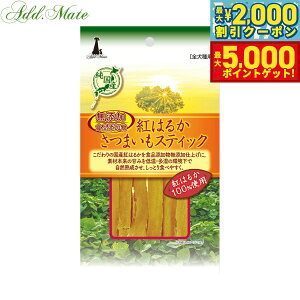 yő2000~OFFN[||Cg+5{zAhCg p g͂邩܂XeBbN 45g