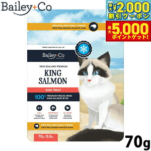 yX|Cgő46{I1118IzxC[R[ Bailey{Co Lbgg[c t[YhC LOT[ 70g Y fފۂ Lp