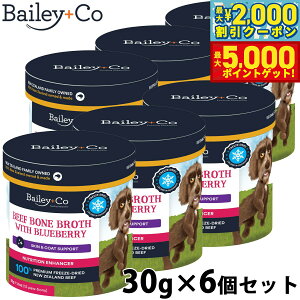 yő2000~OFFN[||Cg+5{zxC[R[ Bailey{Co t[YhC Tvg r[t {[ uX u[x[ 30g×6Zbg X[v ӂ肩 gbsO A~m_