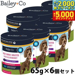 yX|Cgő46{I1118IzxC[R[ Bailey{Co t[YhC Tvg r[t {[ uX u[x[ 65g×6Zbg X[v ӂ肩 gbsO A~m_⋋