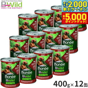 yX|Cgő46{I1118Izr[Ch B Wild hbOt[h ʋl withpvLYbL[j OCt[ 400g×12 Y ^ 