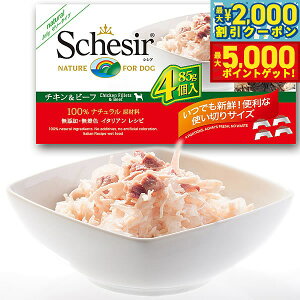 yő2000~OFFN[||Cg+5{zSchesiriVVAjhbOV[Y }`pbN `Lr[t 85g×4 hbOt[h EFbgt[h ʋl Y pi/ybgpi