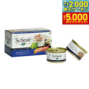 yő2000~OFFN[||Cg+5{zSchesiriVVAjhbOV[Y }`pbN ciV[oX 85g×4 hbOt[h EFbgt[h ʋl Y pi/ybgpi