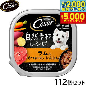 yő2000~OFFN[||Cg+5{zV[U[ hbOt[h gC p RfރVs ܂ ɂ񂶂 85g×112Zbgyz ʋl