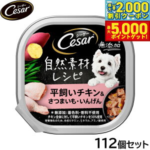 yő2000~OFFN[||Cg+5{zV[U[ hbOt[h gC p RfރVs `L܂ 񂰂 85g×112Zbgyz ʋl