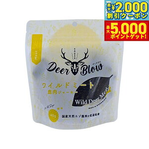 yő2000~OFFN[||Cg+5{zfBAu DEER BLOW p Ch~[g G]W[L[ 40g Y Y WrG