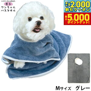 yX|Cgő46{I1118IzvC[hbO 郏oX^I M O[ z Vv[ g~O