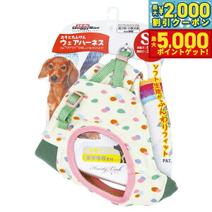 yő2000~OFFN[||Cg+5{zhM[} HL05 Ƃ񂯂EFAn[lX SS ^