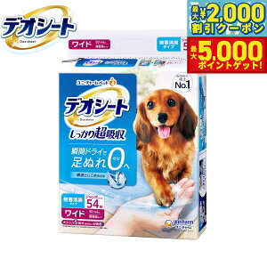 yő2000~OFFN[||Cg+5{zj `[ fIV[g 蒴z L^Cv Ch 54 ybgV[c gCV[c p