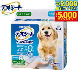 yő2000~OFFN[||Cg+5{zj `[ fIV[g 蒴z L^Cv X[p[Ch 23 ybgV[c gCV[c p