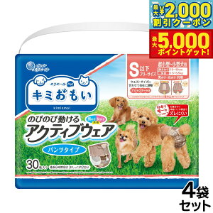 yX|Cgő46{I1118IzGG[ L~ ANeBuEFA SSS-S 30×4܁yz