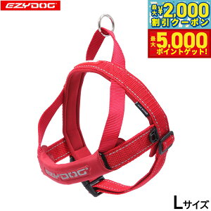 yX|Cgő46{I1118IzC[W[hbO EZYDOG NCbNn[lX L bhyz ȒP  ^