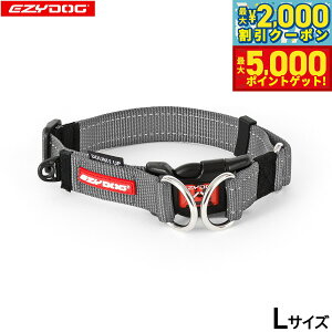 yX|Cgő46{I1118IzC[W[hbO EZYDOG _ubNJ[ L OC  2dŒ  ^