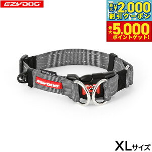 yX|Cgő46{I1118IzC[W[hbO EZYDOG _ubNJ[ XL OC  2dŒ  ^