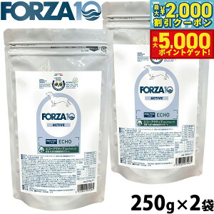 yX|Cgő46{I1118IztHc@10 Forza10 hbOt[h GR[ANeBu ~j ̃PApHÖ@H 250g×2 Y  