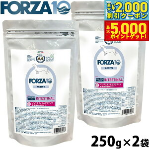 yő2000~OFFN[||Cg+5{ztHc@10 Forza10 hbOt[h CeXeBiANeBu ~j ݒPApHÖ@H 250g×2 Y  