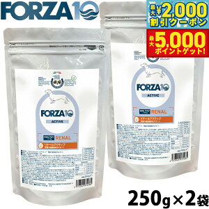 yő2000~OFFN[||Cg+5{ztHc@10 Forza10 hbOt[h i[ANeBu ~j tPApHÖ@H 250g×2 Y  