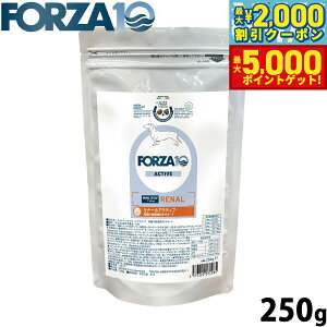 yő2000~OFFN[||Cg+5{ztHc@10 Forza10 hbOt[h i[ANeBu ~j tPApHÖ@H 250g Y  