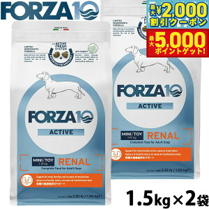 yő2000~OFFN[||Cg+5{ztHc@10 Forza10 hbOt[h i[ANeBu ~j tPApHÖ@H 1.5kg×2 Y  