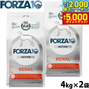 yő2000~OFFN[||Cg+5{ztHc@10 Forza10 hbOt[h i[ANeBu ~fBA tPApHÖ@H 4kg×2 Y  