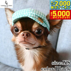 yő2000~OFFN[||Cg+5{z̖Xq K[fIuGf MK`FbNLXPbg XS ubN