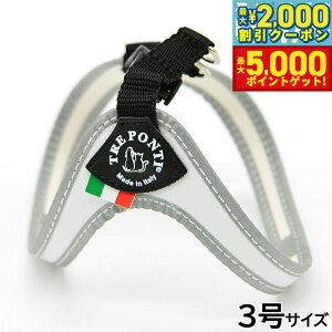 yX|Cgő46{I1118Izg|eB TREPONTI tBbrA tI ^pn[lX 3 zCg