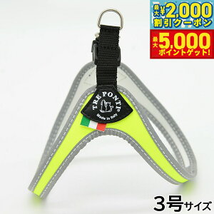 yX|Cgő46{I1118Izg|eB TREPONTI tBbrA tI ^pn[lX 3 CG[