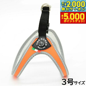 yX|Cgő46{I1118Izg|eB TREPONTI tBbrA tI ^pn[lX 3 IW